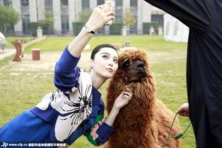 呕吐av明星,呕吐AV明星背后的故事与争议
