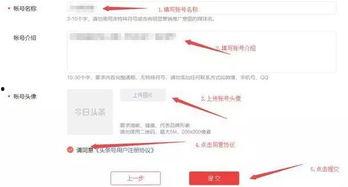 开通头条号后如何赚钱,开启自媒体赚钱新篇章