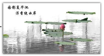 今日头条水墨摄影比赛,今日头条水墨摄影大赛作品集锦