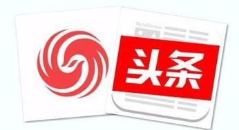 头条为什么要求垂直度,深度解析背后的原因与影响