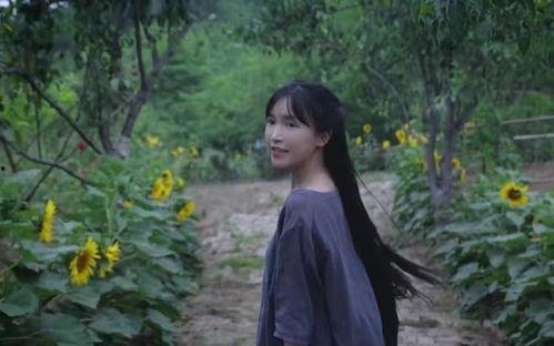 头条里的李子柒,李子柒的乡村生活美学