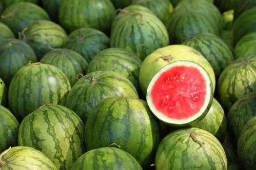 吃瓜专挖瓜心,专挖瓜心，品味生活点滴