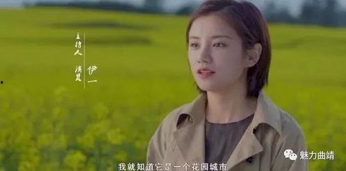 罗平县的明星,探寻罗平县的璀璨星河