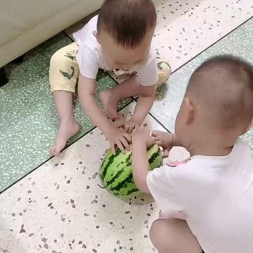 兄弟和自己母亲吃瓜,一家三口的欢乐时光